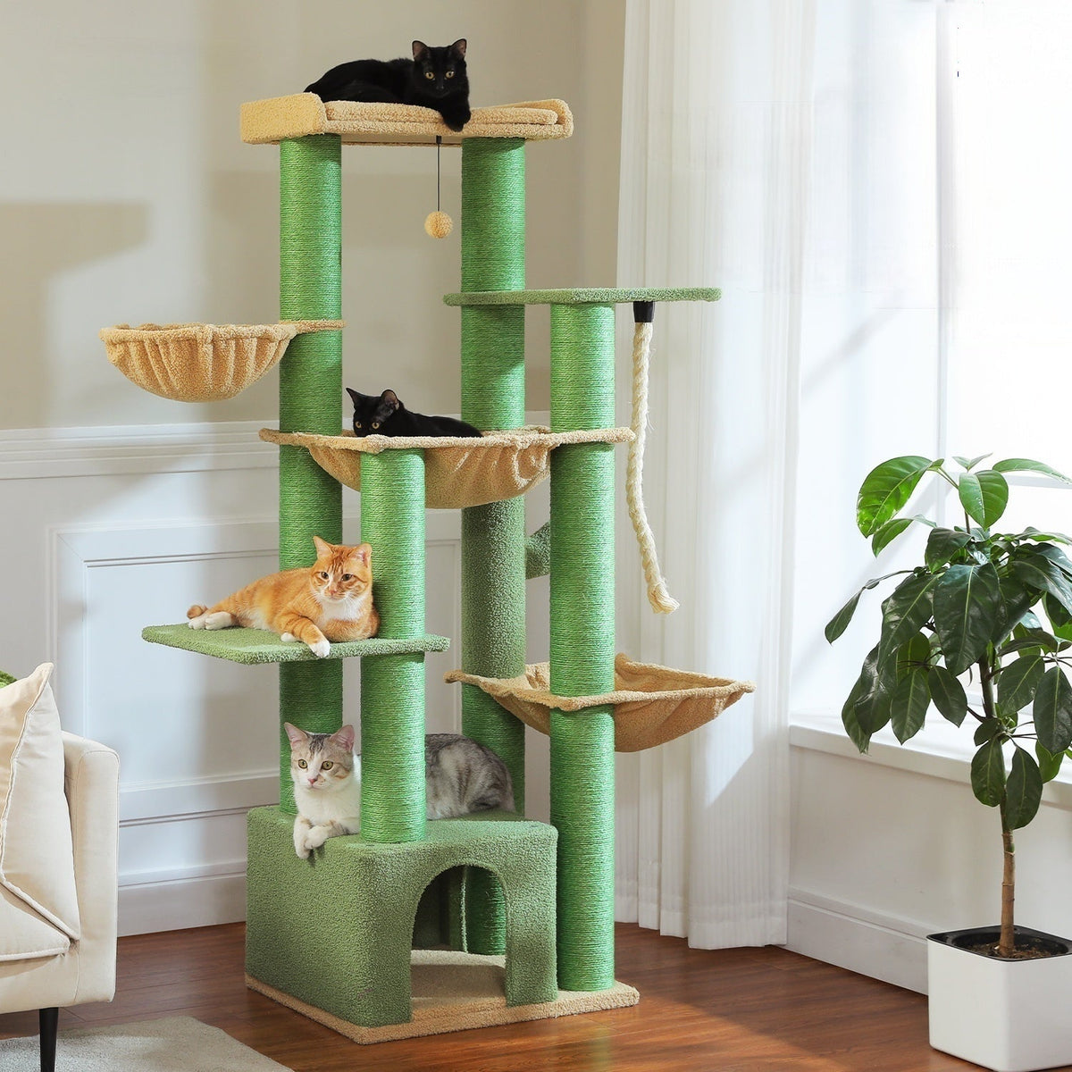 For Large Cats & Multi-Cat Households