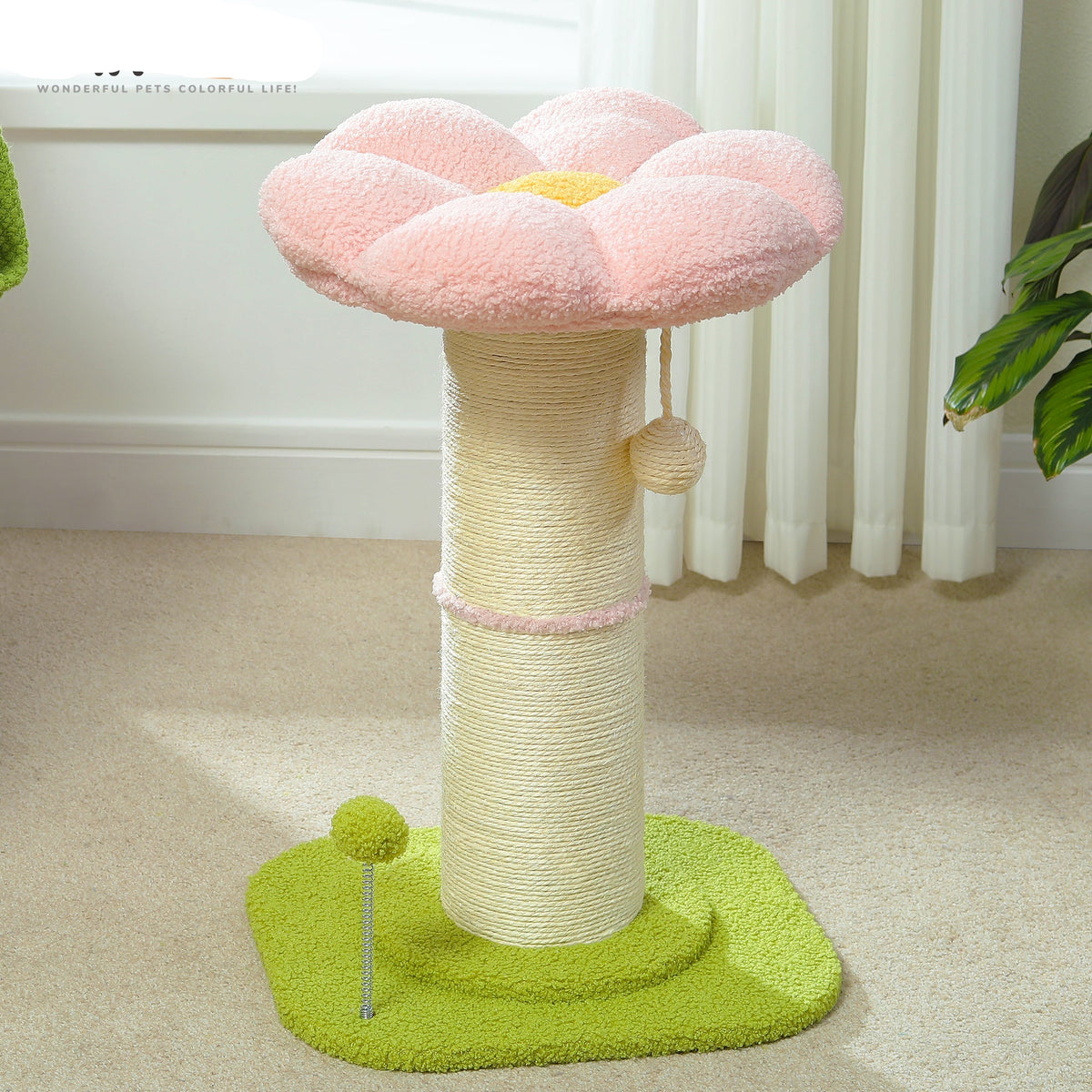 Cat Scratching Posts