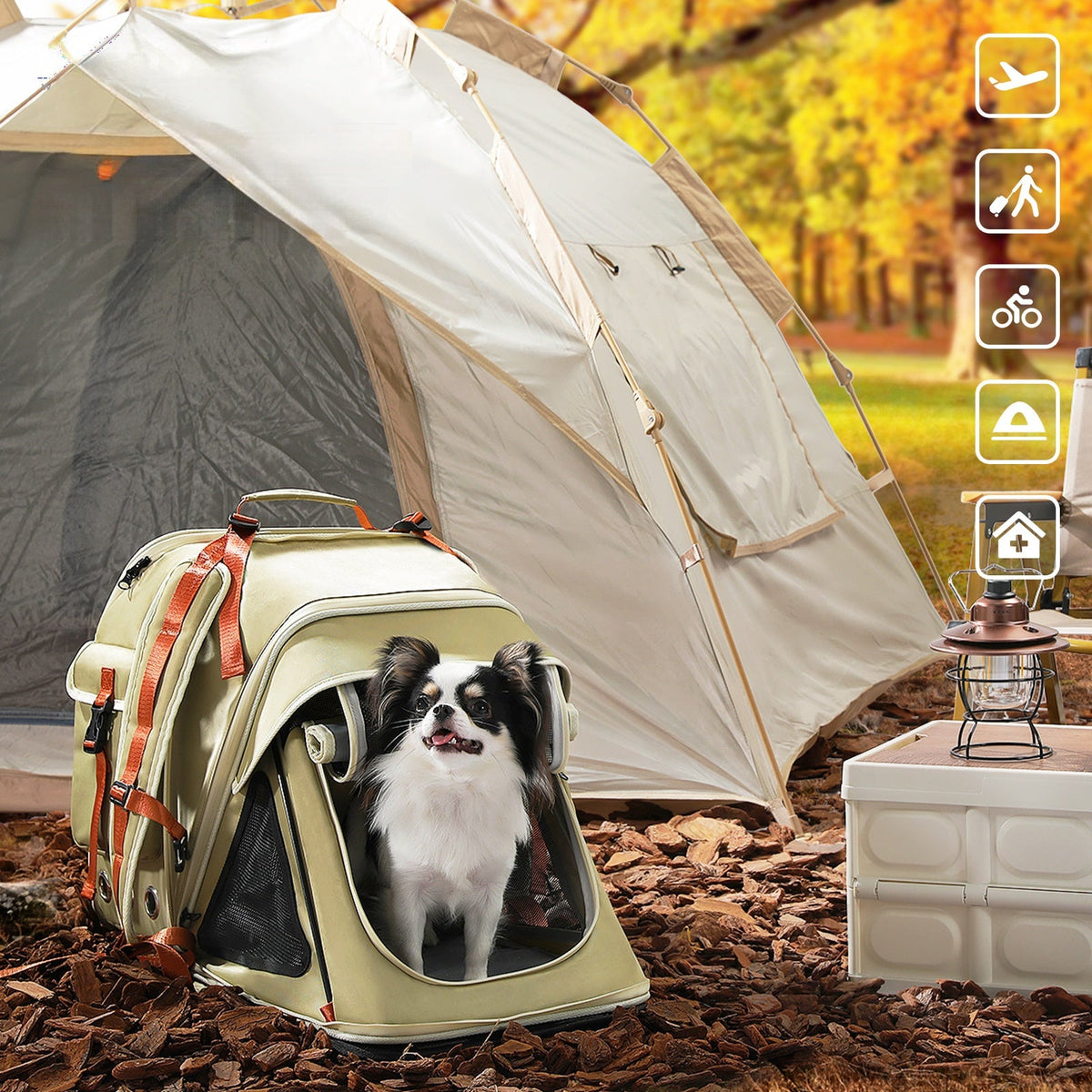Pet Carriers, Strollers and Accessories