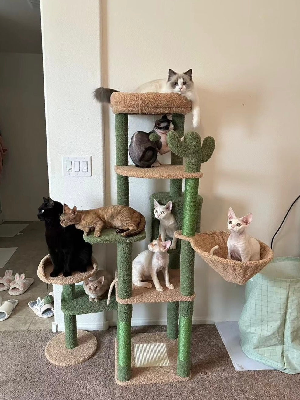 A tall green and beige cat tree with multiple platforms, a cactus-shaped branch, and a hanging hammock, shown in a home interior with several cats resting on and around it.
