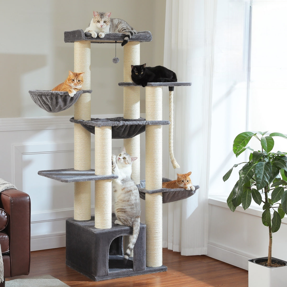 169 cm XXL Multi-Level Cat Tree with 3 Hammocks, Condo, Sisal Scratchers & Top Perch Colour variations