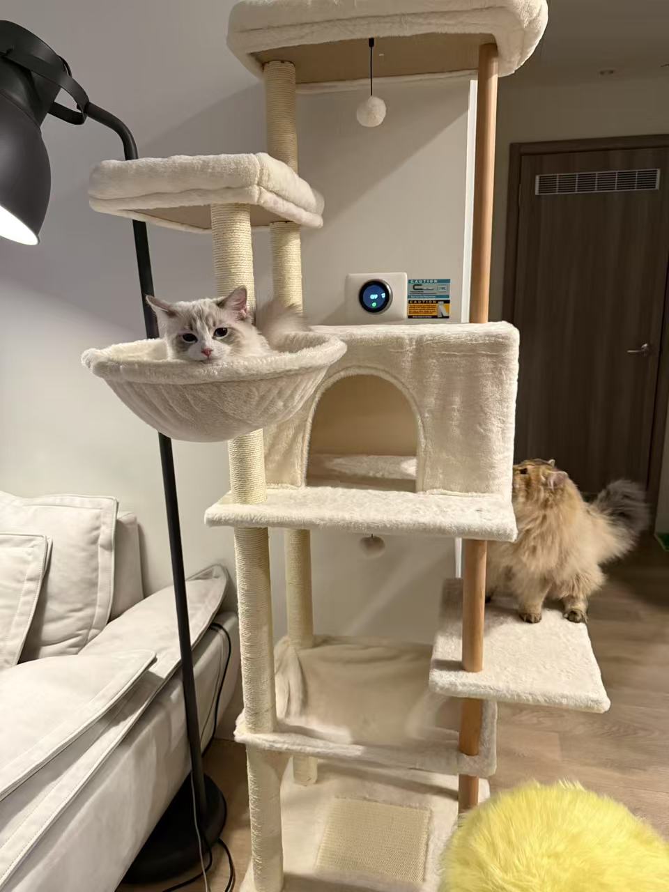 A multi-level cat tree in cream-colored faux fur and tan carpeting, with two cats resting on and around it in a living room setting.
