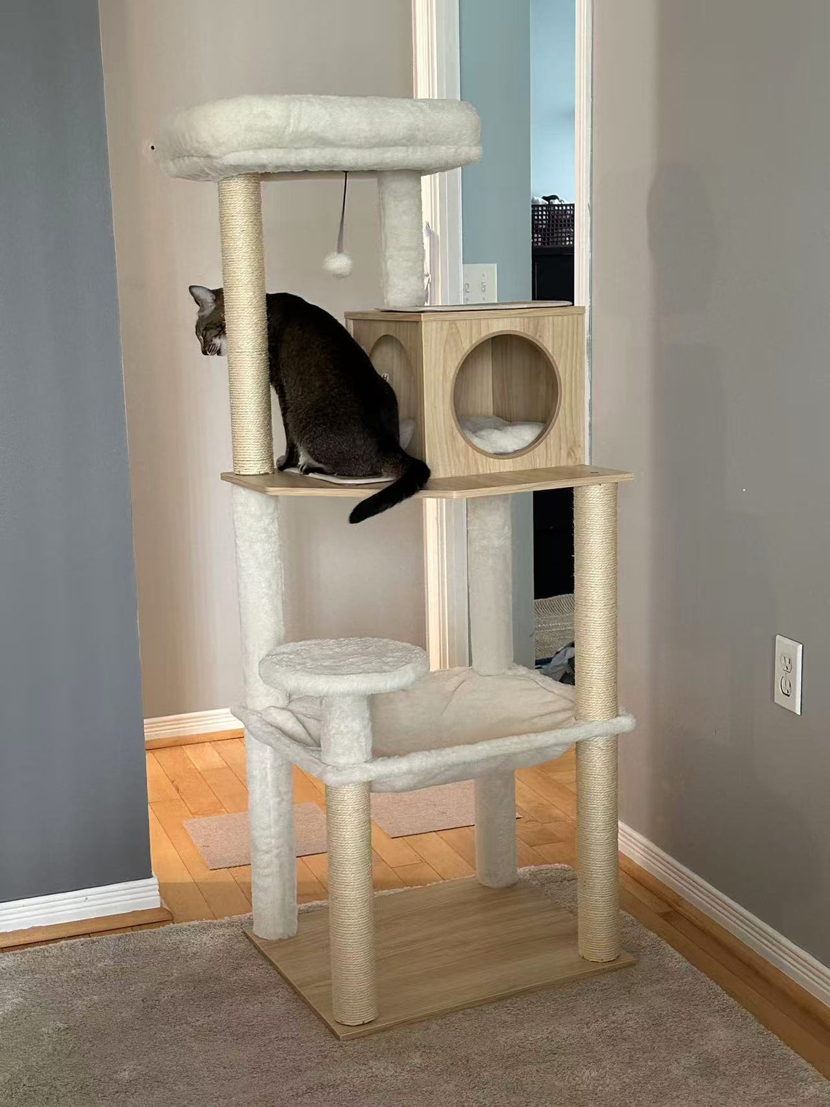 A multi-level cat tree with a dark cat sitting on the middle platform in a home setting with gray walls and wood flooring.