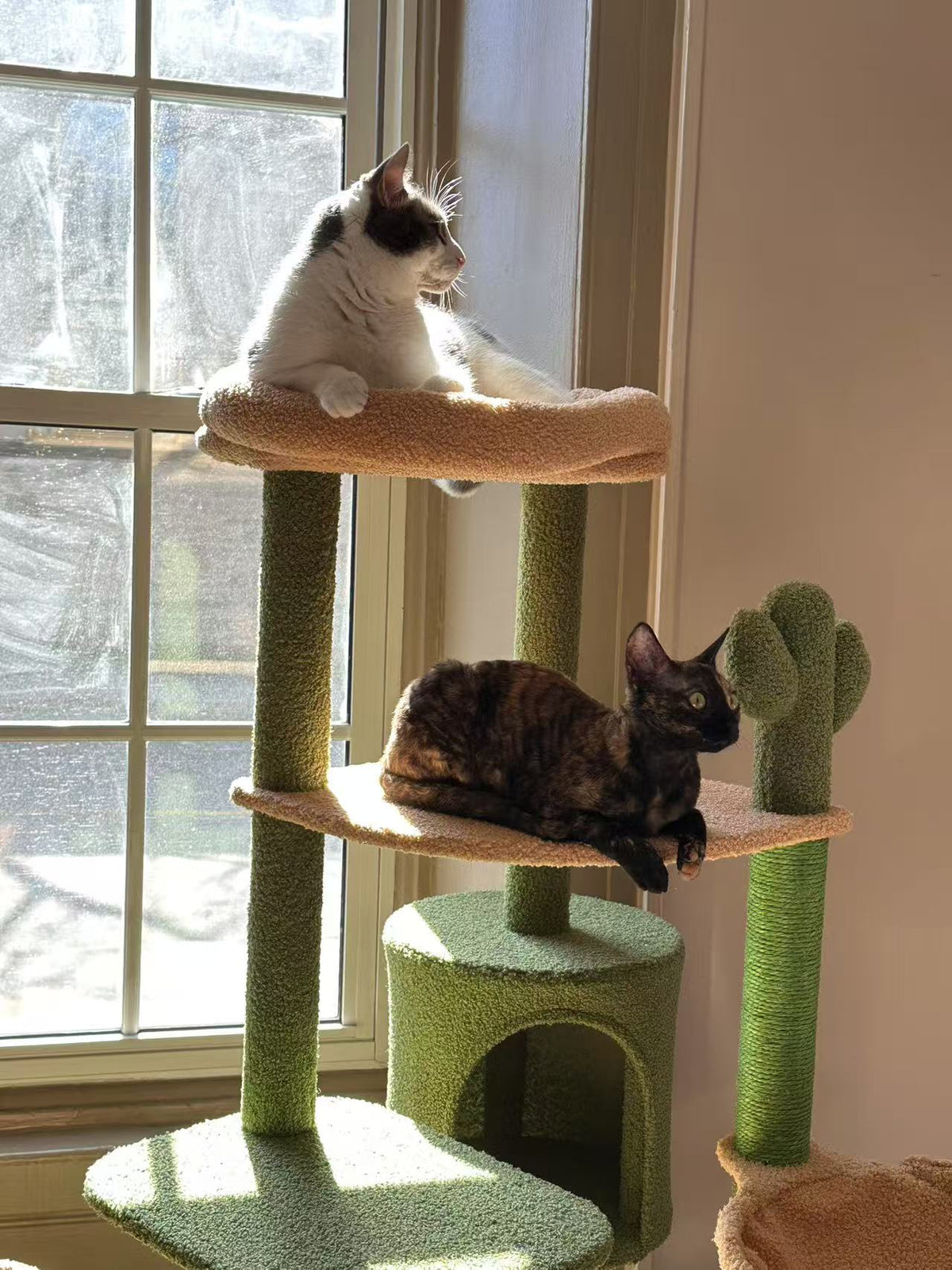 A tall green cat tree with two beige platforms and a cactus-shaped scratching post, shown indoors by a window with two cats resting on it.