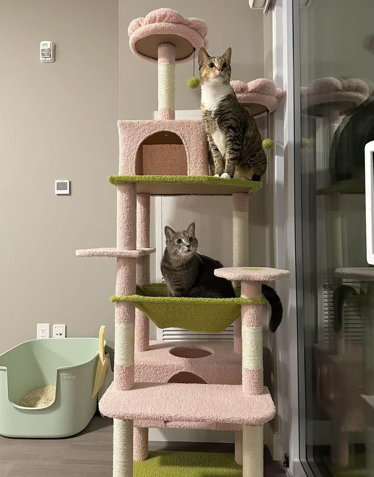 A pink and green multi-level cat tree with two cats resting and sitting on it, photographed in a home interior next to a glass door.