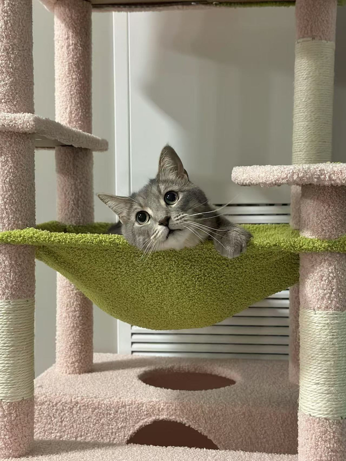 A gray tabby cat with a white chest peering out from a green fabric hammock attached to a pink cat tree.