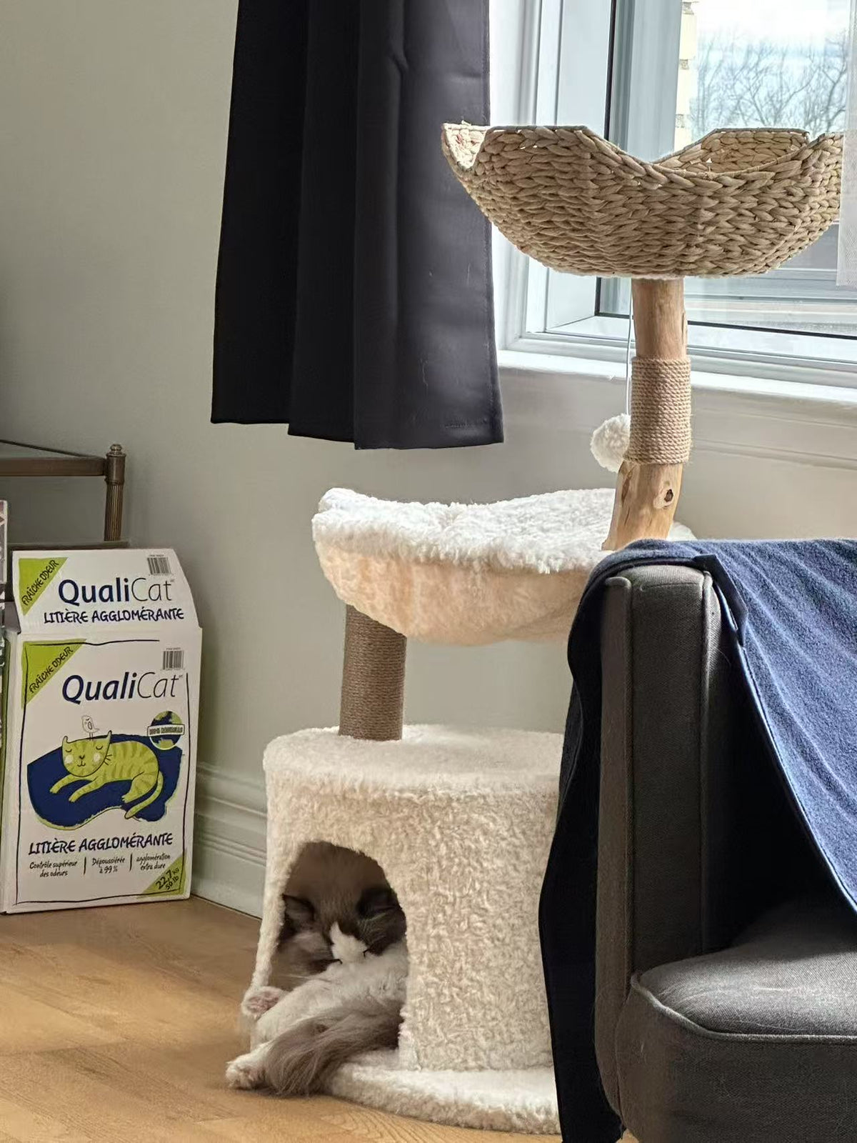 A fluffy cream-colored cat tree with a woven top perch, sisal-wrapped posts, and a small enclosed cave at the base, shown in a home setting with a cat inside the cave. A Qualicat cat litter box is visible on the floor to the left.