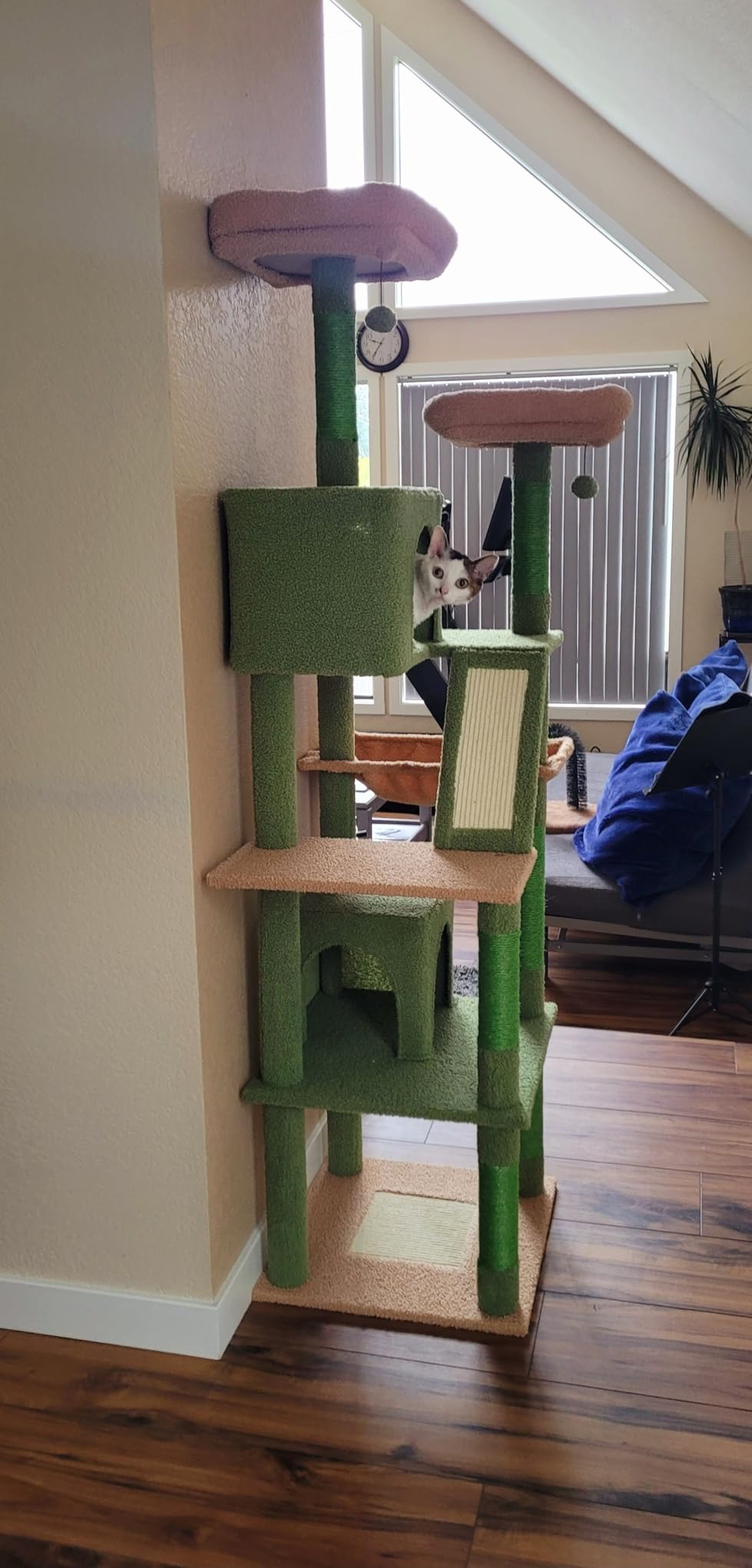 A tall green and beige cat tree with multiple levels, a mirror, and hanging toys, photographed in a home interior with wood floors and a window in the background.