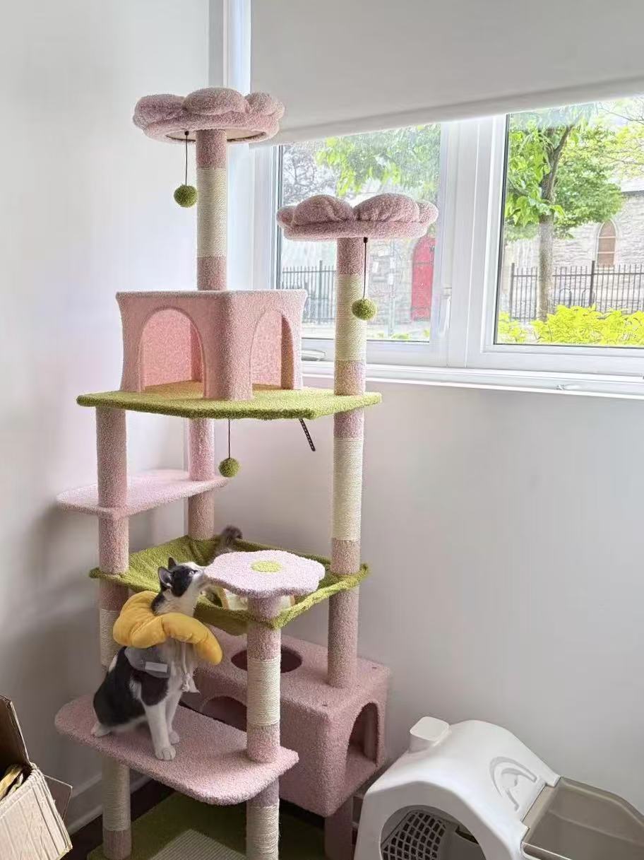 A tall multi-level cat tree in pastel pink and light green, positioned next to a window in a home setting. A black and white cat is sitting on the lowest pink platform, holding a yellow toy.