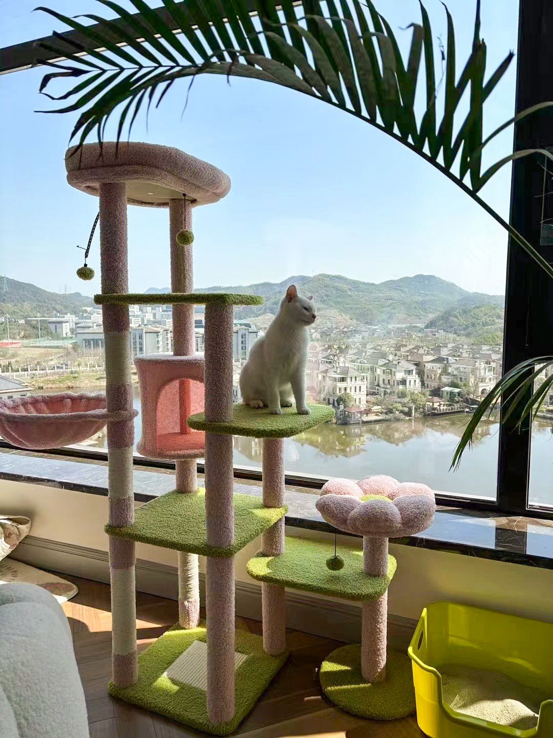 Cat tree with a cat sitting on top, window view of a lake and mountains