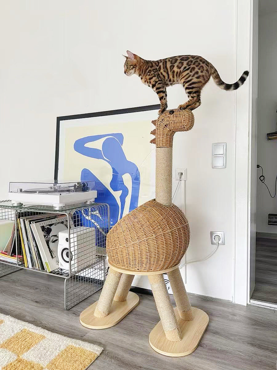 A tall woven cat tree with a dinosaur head topper stands in a modern room, with a leopard cat balancing on the dinosaur head. A wire shelf with records and a blue abstract print are visible in the background.