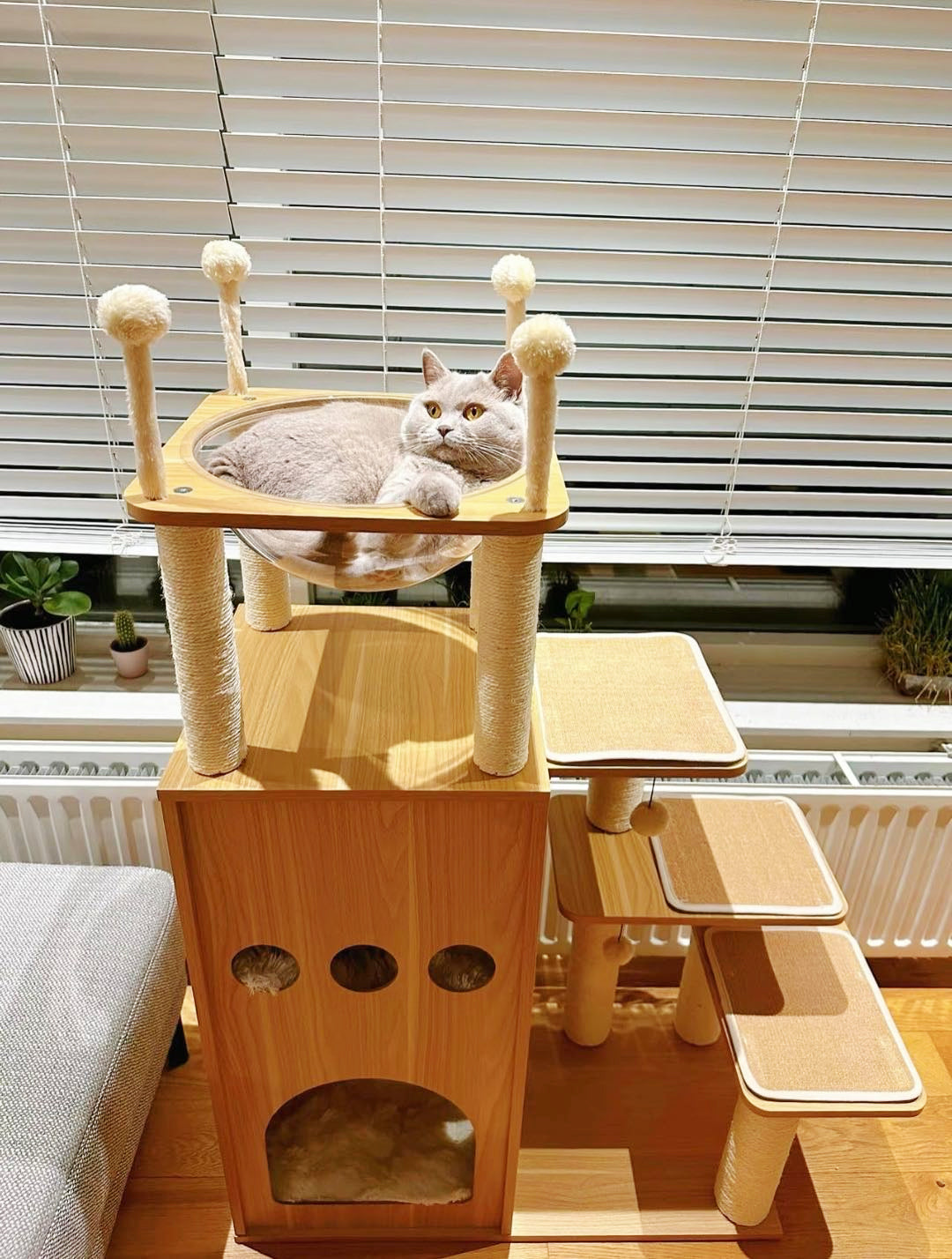 A light wood and sisal cat tree with a hammock, stairs, scratching posts, and a house cat resting on the top platform in a home setting.